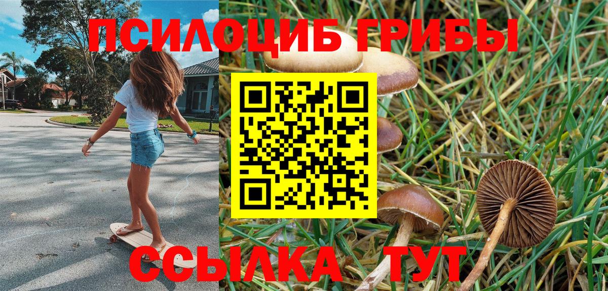 Балашов  Галлюциногенные грибы Psilocybine cubensis  Вход с VPN  Псилоцибиновые грибы Psilocybe 